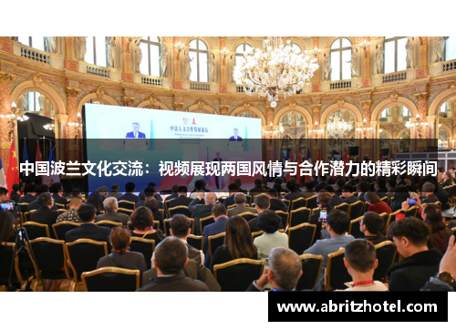 中国波兰文化交流：视频展现两国风情与合作潜力的精彩瞬间
