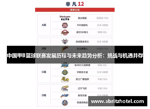 中国甲B篮球联赛发展历程与未来趋势分析：挑战与机遇并存