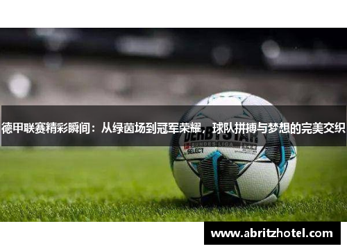 德甲联赛精彩瞬间：从绿茵场到冠军荣耀，球队拼搏与梦想的完美交织